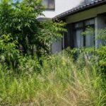 盛岡市の空き家は放置すると年間いくらかかる？維持費・固定資産税・火災保険を徹底解説